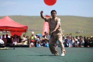 天山武林大会图册