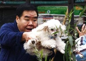 《外乡人》图片