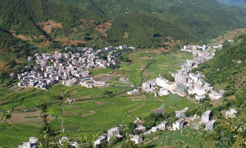 岩茶乡