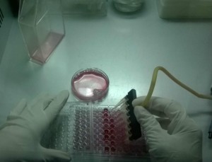 96孔细胞培养 吸液