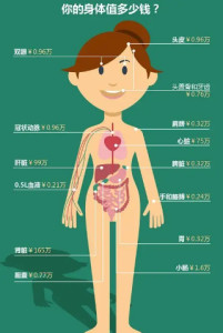 人體器官價位表