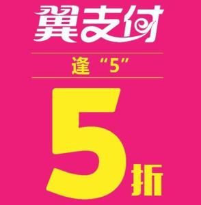 翼支付
