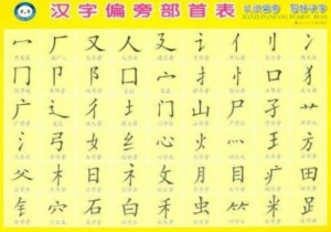 偏旁部首 合体字的构字部件 搜狗百科