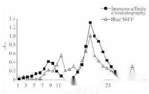 免疫亲和层析
