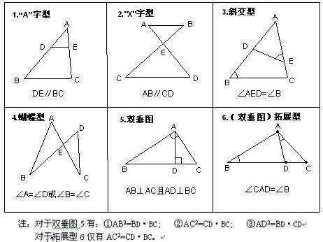 相似形 搜狗百科 相似形 搜狗百科