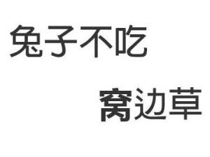 兔子不吃窝边草