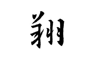 翔