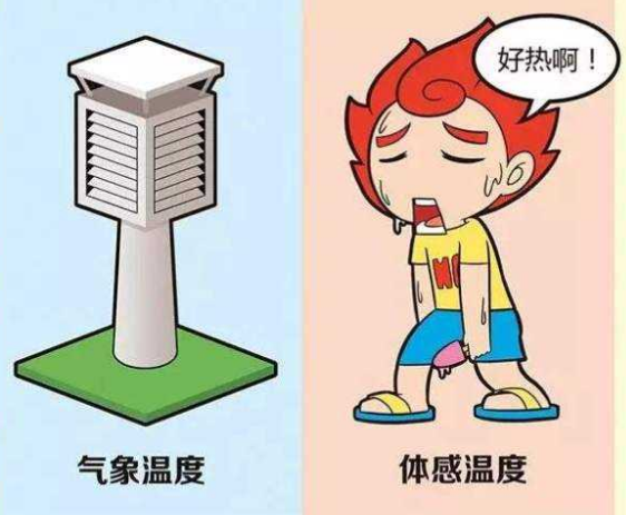 体感温度