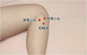 阳陵泉