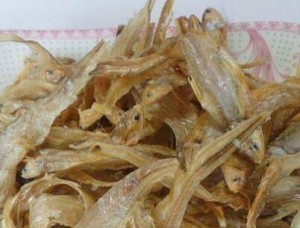 巢湖毛鱼
