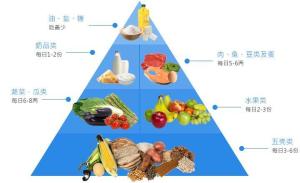 营养金字塔