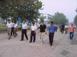 濮阳市市长王艳玲到文留镇调研经济发展情况