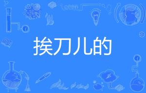 什么时候才有的汉语拼音 300