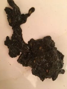 柏油样便