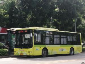 14路公交车线路 300