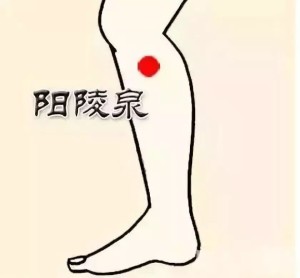 阳陵泉