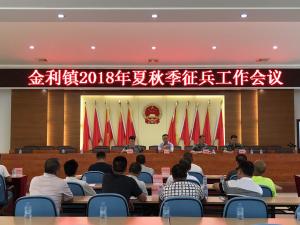 金利镇