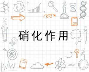 硝化作用 搜狗百科