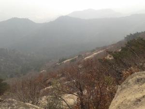 连康山风景