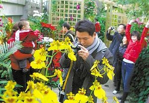 上海植物园