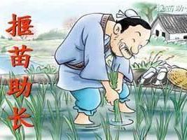 揠苗助长
