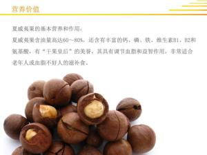 澳洲胡桃价值