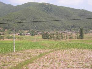 基本农田图