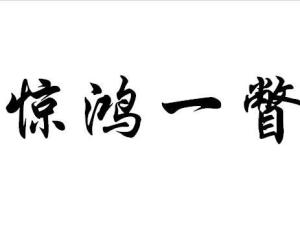 惊鸿一瞥