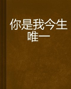 你是我今生唯一