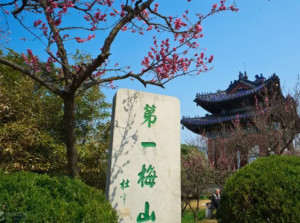 钟山风景名胜区梅花山