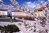 克里斯蒂安斯塔德大学学院
