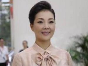 褚海辰