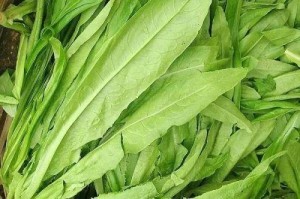 油麦菜