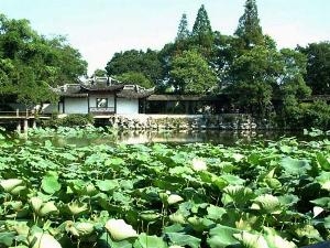 小莲庄