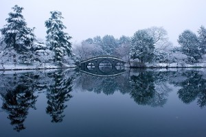 断桥残雪