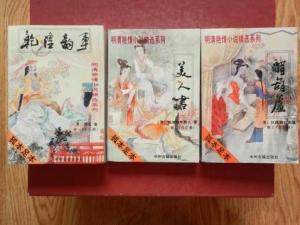 色情小说