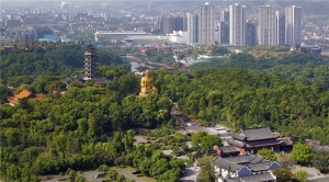 九龙坡区