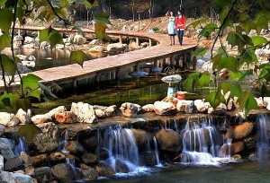 峡谷探险区