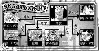 青雉的人物关系图
