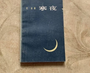 寒夜 - 搜狗百科