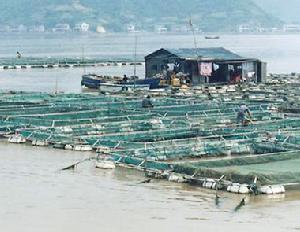 斗湖堤镇