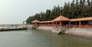放鸡岛