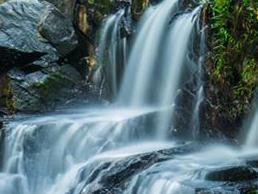 呀诺达雨林文化旅游区