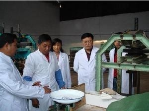 茶叶加工