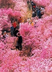 大珠山风景区