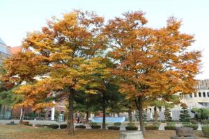 韩南大学图册