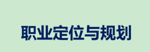 职业定位