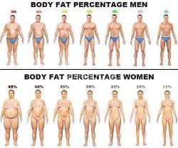 体脂率多少算健康 带你了解 瘦体重 的秘密
