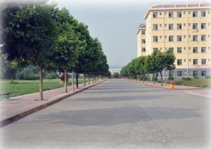 校园景观