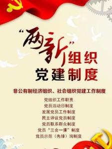 两新组织